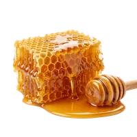 Rinvigorisci